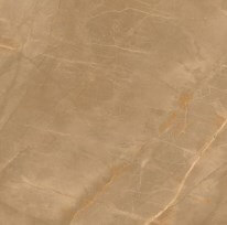 Керамогранит Royalish Brown (60x60) 402