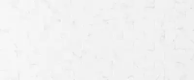 Керамическая плитка Forza Calacatta White Mosaico 01 (25х60) M0427Y29601