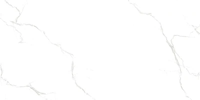 Sisam White Sisam White Glossy (60x120) RP-203102