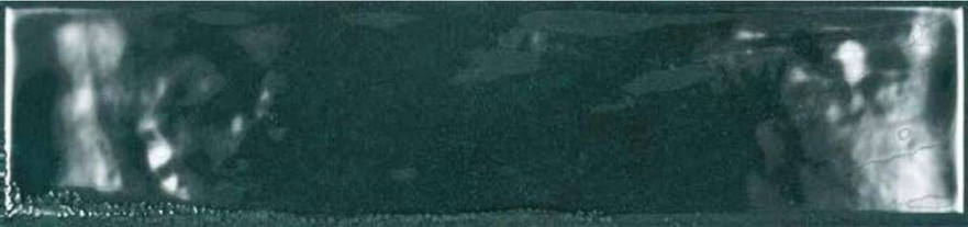 Rev.Asly blue (7.5x30)