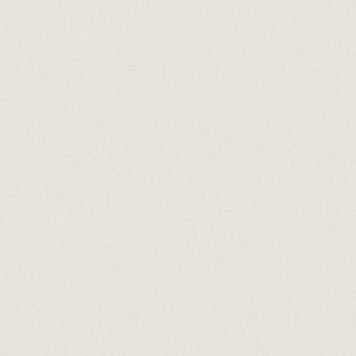 Керамогранит RW01x11 непол. рект. (80x80)