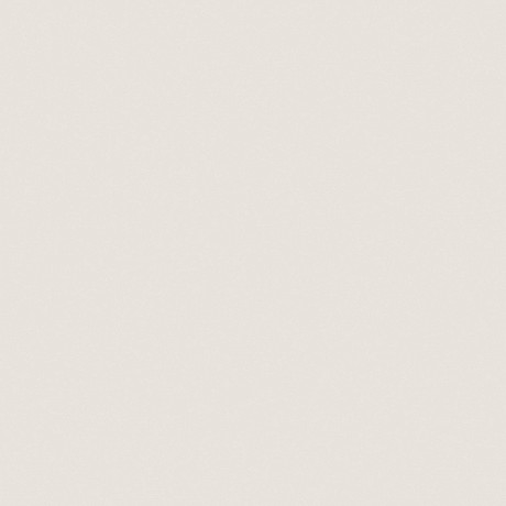 Керамогранит RW01x11 непол. рект. (80x80)