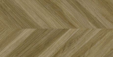 Керамогранит Dinamarca Abedul 60*120 