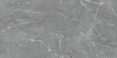 Керамогранит Eva Gris Polished (60x120) N20468