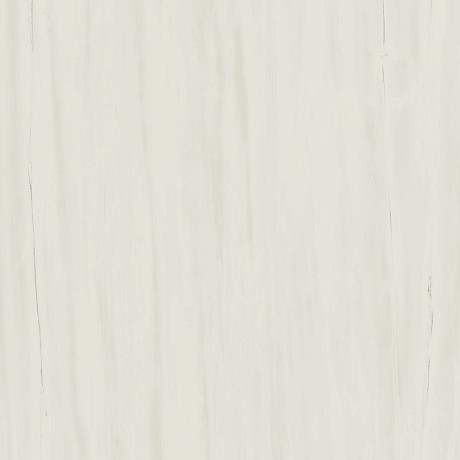 Керамогранит Marvel Bianco Dolomite (60x60) AZQS