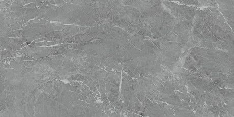 Керамогранит Eva Gris Polished (60x120) N20468