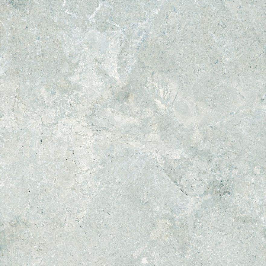 Керамогранит Legend Серый (60x60) E-5001 E-5001/MR/600x600