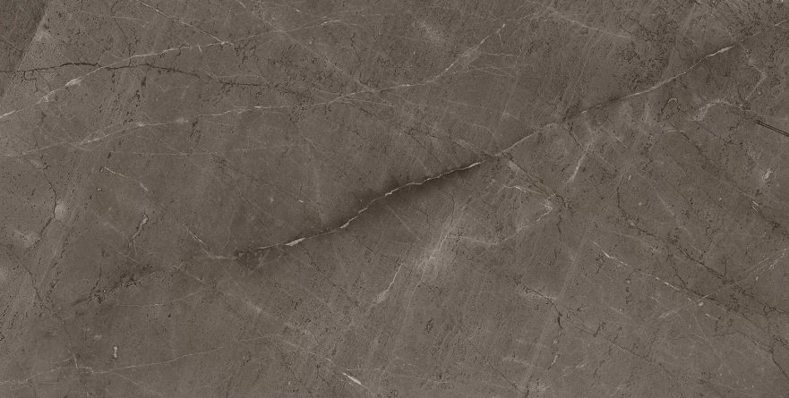 Gris Mramor Versace Gold (60x120) RP-91894 RP-91894