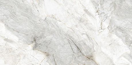 Керамогранит Palissandro White Glossy 131.11B.1111 (60x120)