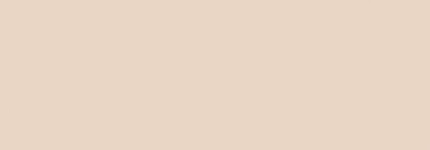 Керамическая плитка PINK MATT (35x100) 635.0127.0041 635.0127.0041