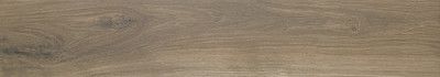 Керамогранит OREGON ROBLE RECT (20x120) A034145