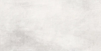 Керамическая плитка Energy Wont (30х60) NB_P0091