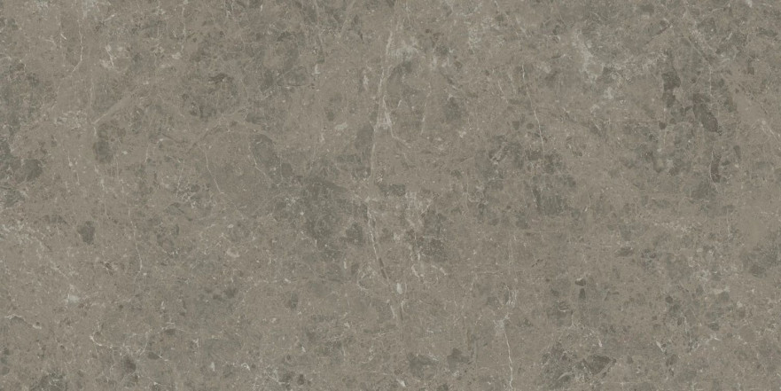 Керамогранит Marvel Meraviglia Grigio Elegante Lapp. AJHW (60x120) AJHW
