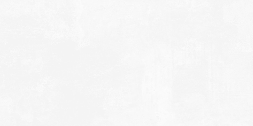 Плитка настенная Antre White (24.9x50) WT9ANR00 WT9ANR00