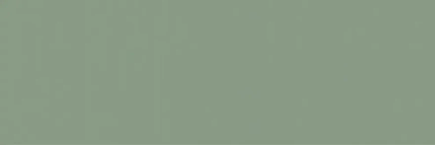 Керамическая плитка Ekzotic olive (30x90) NB_0403 NB_0403