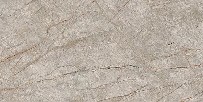 Керамогранит Empire Silver Root (80x160) Ret 610010002173