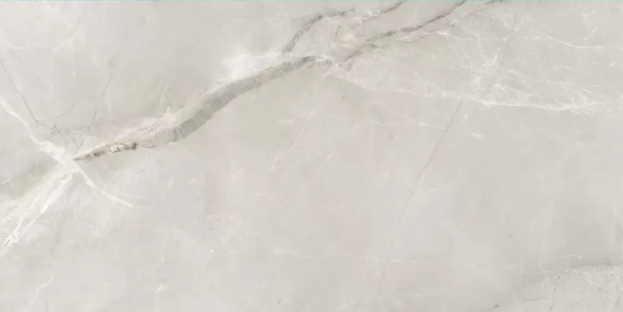 Fish Maw Ash Digital Carving 60x120 KSW612DG008