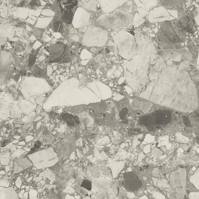 Керамогранит Forte Dei Marmi Ce.Ap.Pearl Rett/ФДМ Че.Ап.Перл Рет (120x120) 600010002411