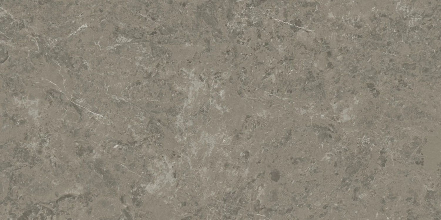 Керамогранит Marvel Meraviglia Grigio Elegante Lapp. AJHW (60x120) AJHW
