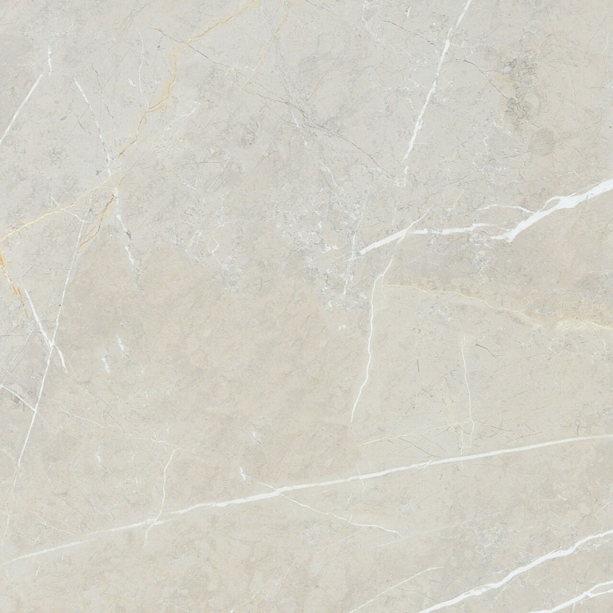 Керамогранит 2550 BB6NTT9101P (60x60) BB6NTT9101P