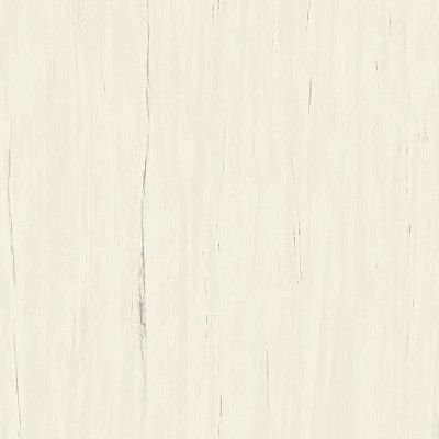 Керамогранит Marvel Bianco Dolomite (120x120) A204