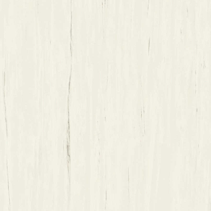 Керамогранит Marvel Bianco Dolomite (120x120) A204 A204