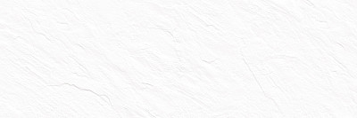 Плитка настенная Leon White (24.6x74) WT15LEN00R