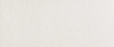Керамическая плитка Milano Mood Ghiaccio Matt (50x120) fQAW