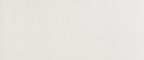 Керамическая плитка Milano Mood Ghiaccio Matt (50x120) fQAW