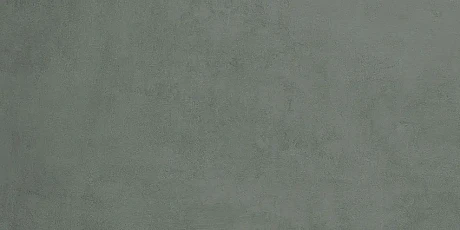 Керамическая плитка Payne green (30х60) 00-00-5-18-01-85-3330