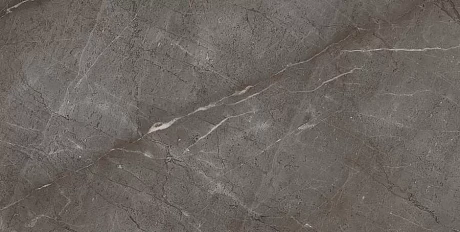 Gris Mramor Versace Gold (60x120) RP-91894