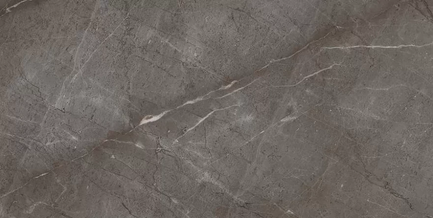 Gris Mramor Versace Gold (60x120) RP-91894 RP-91894