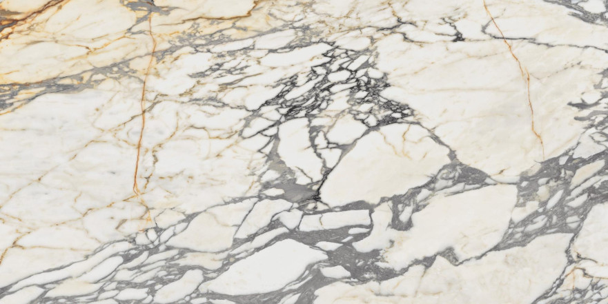 Керамогранит Epoque 21 Arabescato Ant PF60009341 (60x120) PF60009341