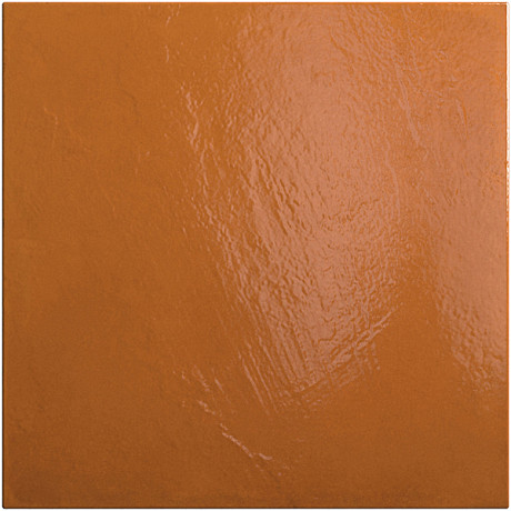 Керамическая плитка Tangerine (20x20) 25386