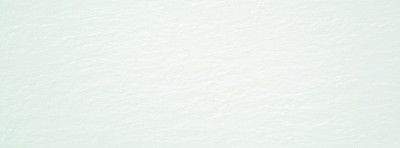 Керамическая плитка Aral White Matt (33.3x90) 110-008-1