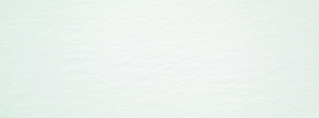 Керамическая плитка Aral White Matt (33.3x90) 110-008-1