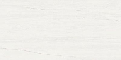 Керамогранит Marvel Bianco Dolomite (40x80) 9MSB