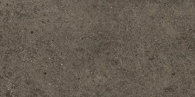 Керамогранит Boost Stone Tobacco (30x60) A6R5