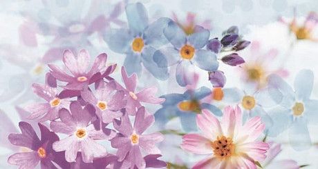 Декор Magik Decorado Eros A Blanco (31.6х59.34)