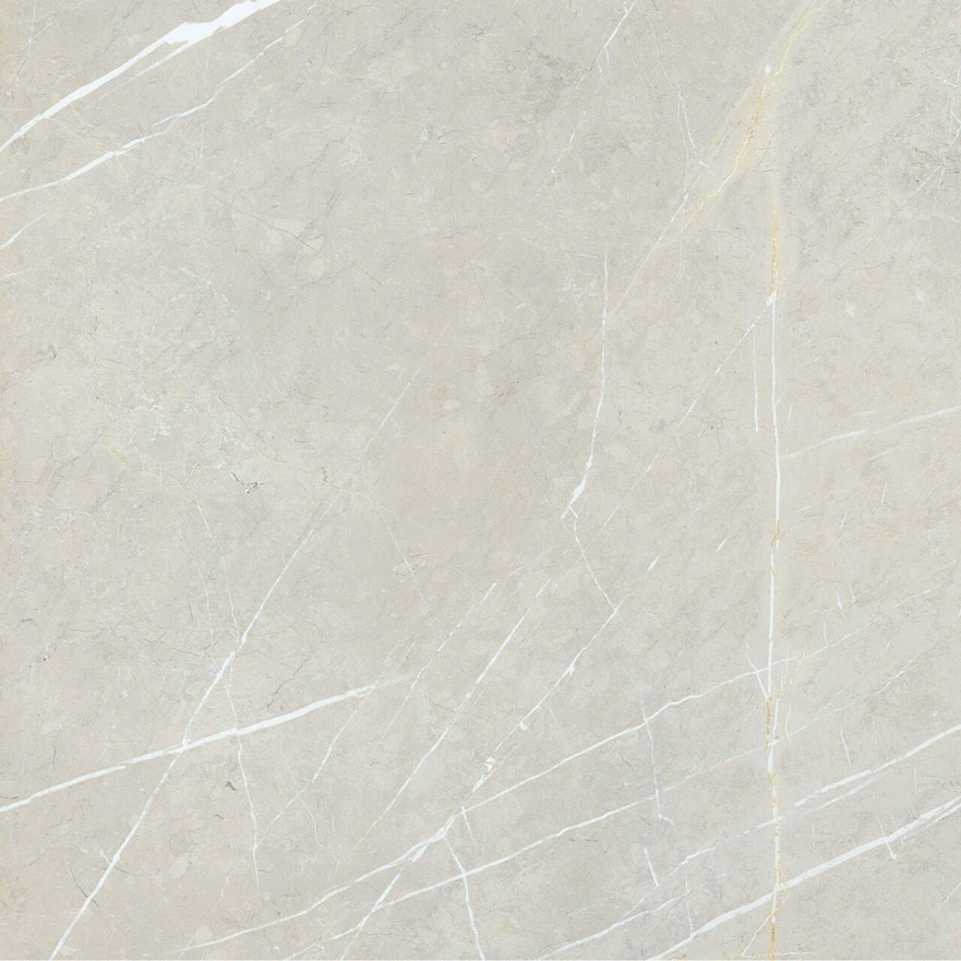 Керамогранит 2550 BB6NTT9101P (60x60) BB6NTT9101P