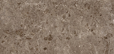 Керамогранит Coverlam Artic Moka Pulido (120х260), 5.6mm