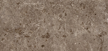Керамогранит Coverlam Artic Moka Pulido (120х260), 5.6mm