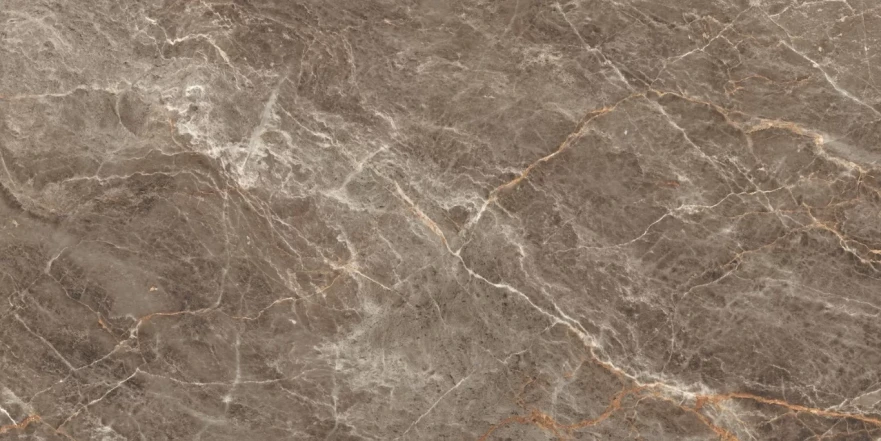 Istanbul Sepia Glossy 120x60 RP-160240