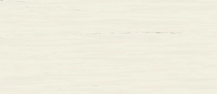 Керамогранит Marvel Bianco Dolomite Matt (120x278) A2RS A2RS