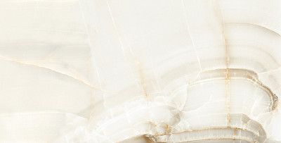 Керамогранит Olmpic Onyx (60х120)