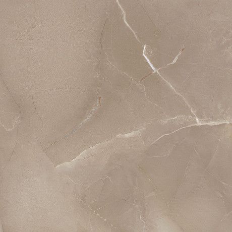 Керамогранит Passion Lux 60 Taupe 60*60