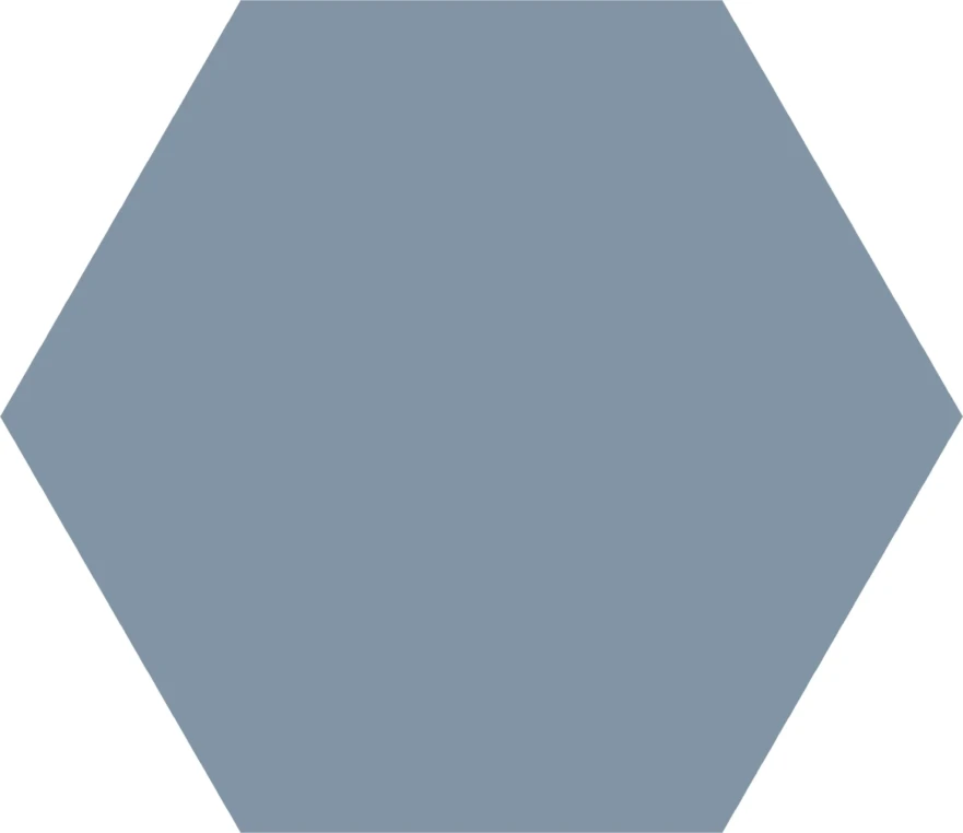 Керамогранит Basic Ducados Hex25 (25x22) G000481