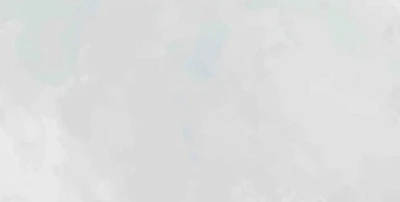 Керамическая плитка Mon Cloudy Garden (30х60) NB_0428