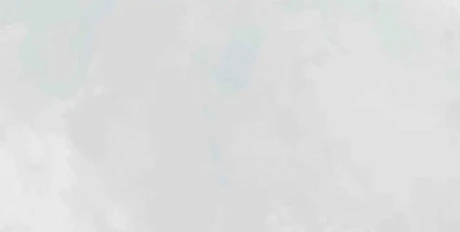 Керамическая плитка Mon Cloudy Garden (30х60) NB_0428