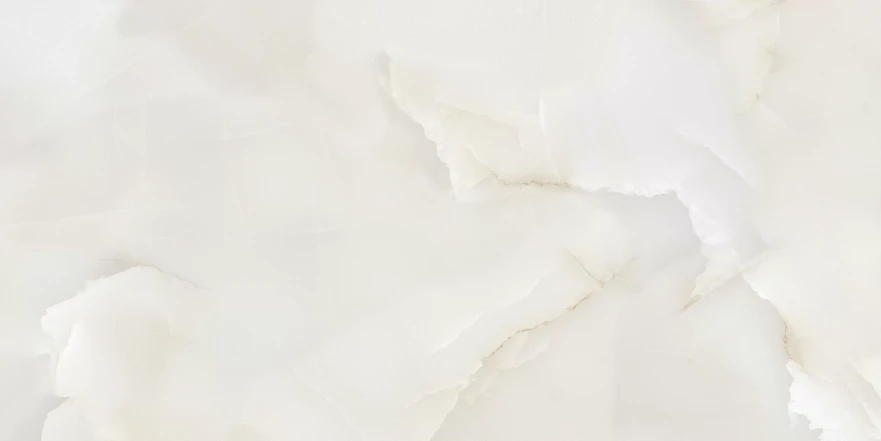 Bruni Onix Bruni Onix Bianco Glossy (60x120) RP-203109 RP-203109